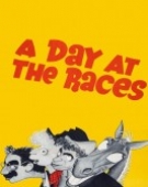 poster_a-day-at-the-races_tt0028772.jpg Free Download