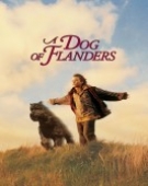poster_a-dog-of-flanders_tt0160216.jpg Free Download