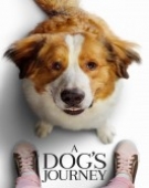 poster_a-dogs-journey_tt8385474.jpg Free Download