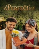 poster_a-perfect-fit_tt13606090.jpg Free Download