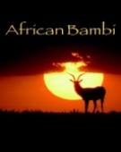 poster_african-bambi_tt0969216.jpg Free Download