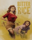 poster_bitter-rice_tt0040737.jpg Free Download