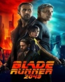 poster_blade-runner-2049_tt1856101.jpg Free Download