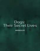 poster_dogs-their-secret-lives_tt3274500.jpg Free Download