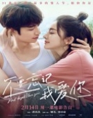 poster_dont-forget-i-love-you_tt17023920.jpg Free Download