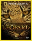 poster_eye-of-the-leopard_tt1569978.jpg Free Download