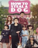 poster_how-to-steal-a-dog_tt3812402.jpg Free Download