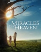 poster_miracles-from-heaven_tt4257926.jpg Free Download
