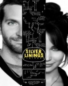 poster_silver-linings-playbook_tt1045658.jpg Free Download