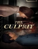 poster_the-culprit_tt10633722.jpg Free Download