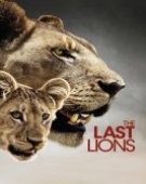 poster_the-last-lions_tt1692928.jpg Free Download