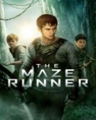 poster_the-maze-runner_tt1790864.jpg Free Download