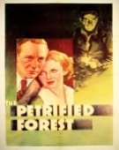 poster_the-petrified-forest_tt0028096.jpg Free Download