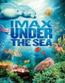 poster_under-the-sea-3d_tt1020876.jpg Free Download