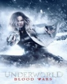 poster_underworld-blood-wars_tt3717252.jpg Free Download