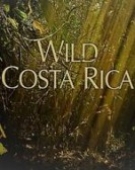 poster_wild-costa-rica_tt10595310.jpg Free Download