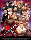 poster_wwe-extreme-rules-2015_tt4577376.jpg Free Download