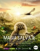 poster_colombia-wild-magic_tt5027202.jpg Free Download