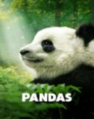 poster_pandas_tt7860270.jpg Free Download