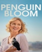 poster_penguin-bloom_tt6317656.jpg Free Download