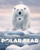 poster_polar-bear_tt17048330.jpg Free Download