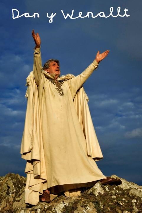 Dan y Wenallt poster