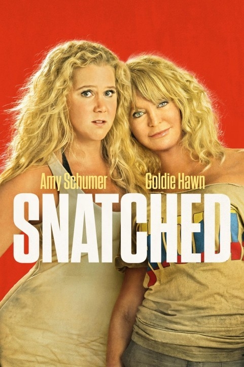 Snatched (2017) poster