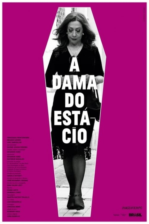 A Dama do EstÃ¡cio poster