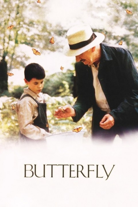 Butterfly poster