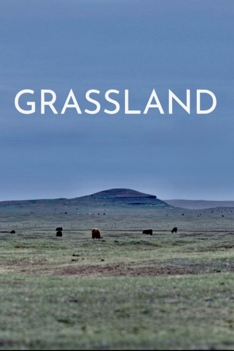 Grassland poster