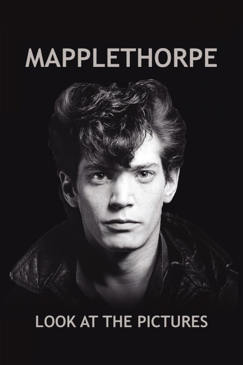 Mapplethorpe poster