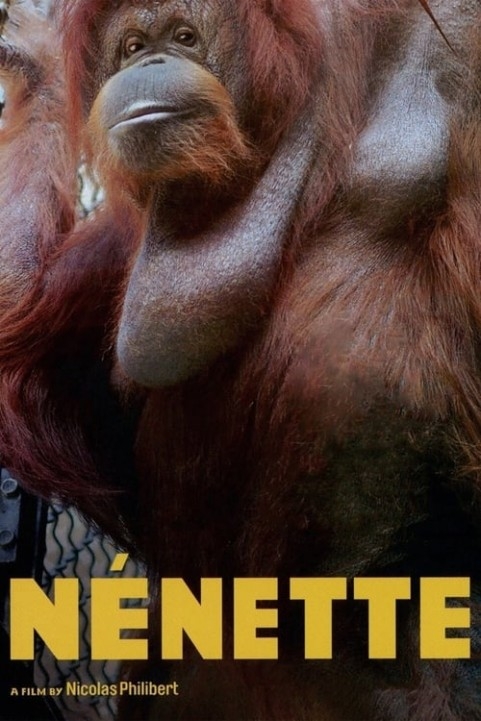 NÃ©nette poster