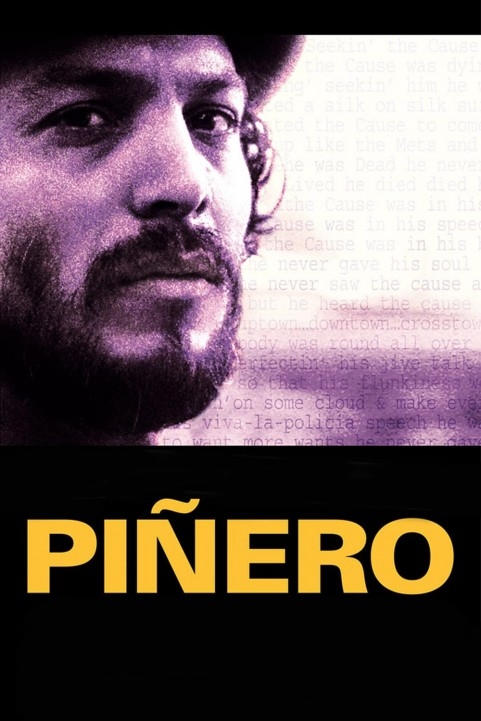 PiÃ±ero poster