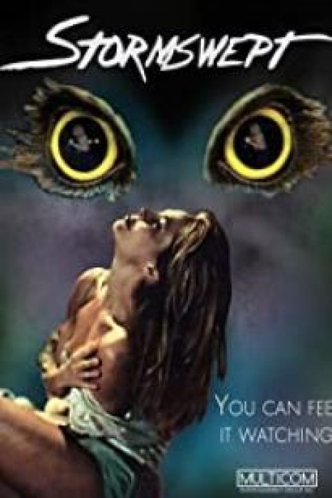 Stormswept poster
