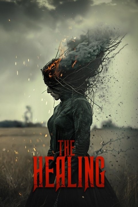 The Healing poster