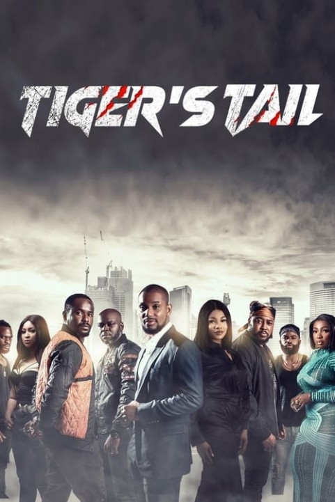 Tiger's Tail poster