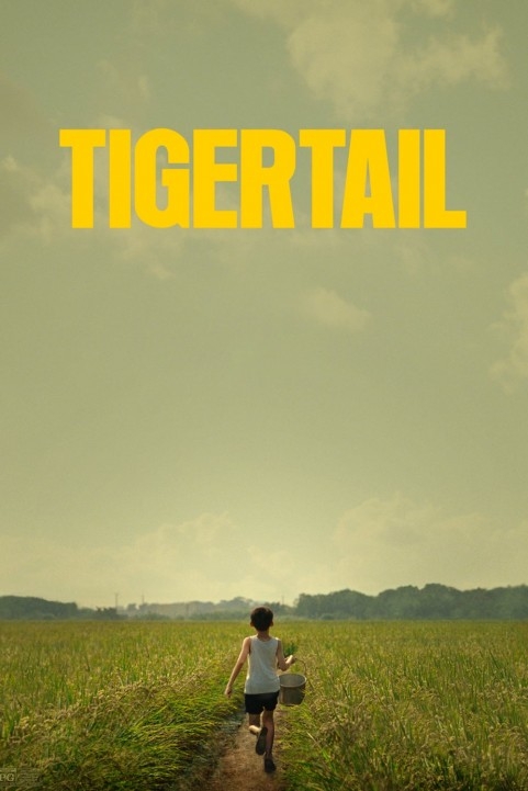 Tigertail (2020) poster